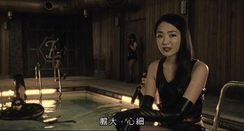 SM恋痛在线视频,揭秘成人情感互动的另类魅力